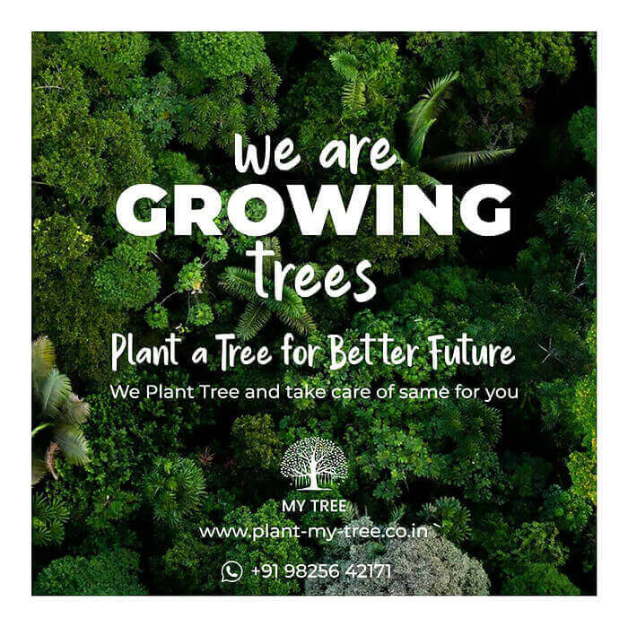 We Are Growing Trees